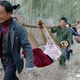 Illustration for article titled Report: More Than 280 Yao Mings Killed By Chinese Poachers In 2012